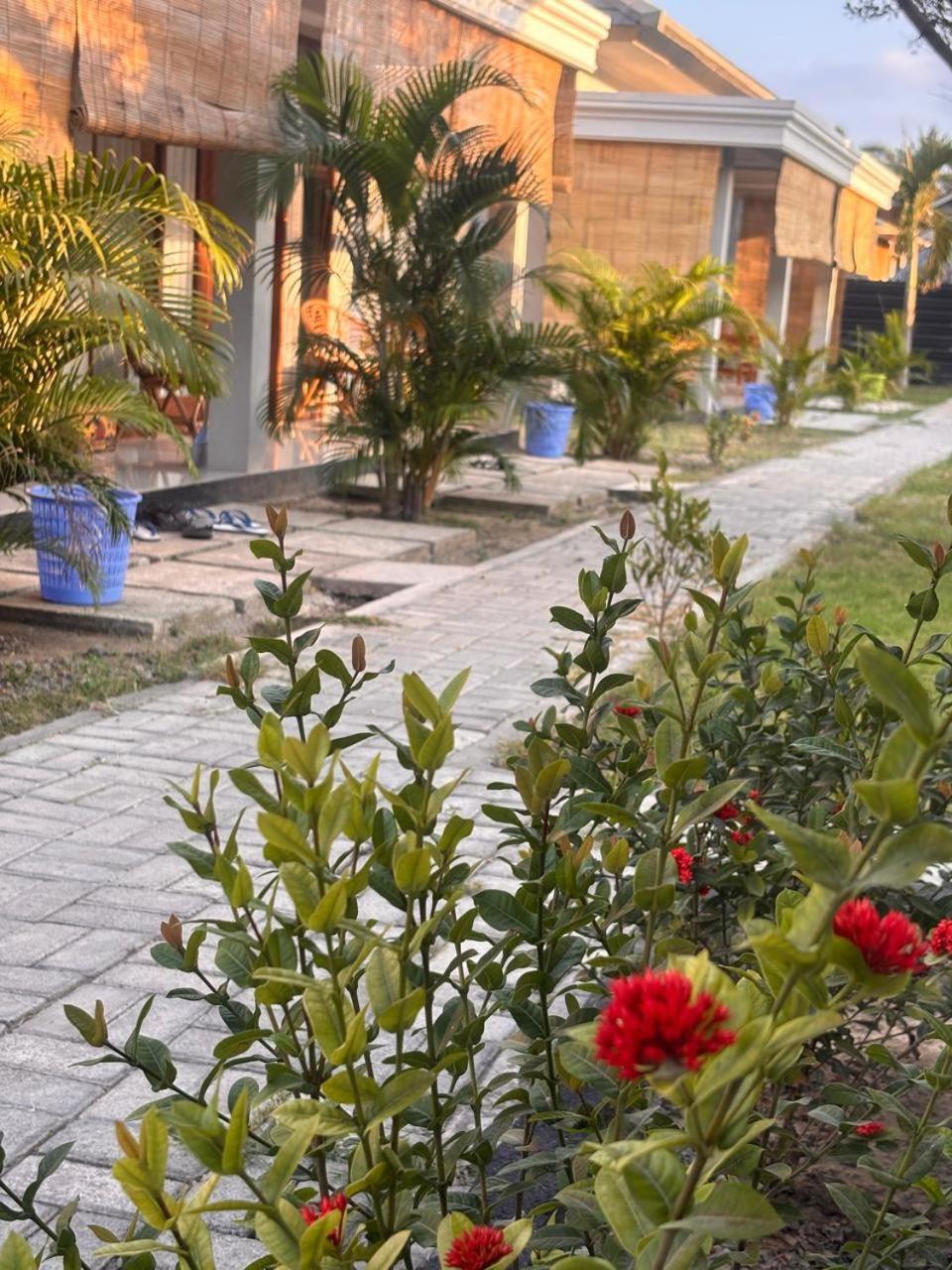 Qwank Kuta Lombokアパートメント エクステリア 写真